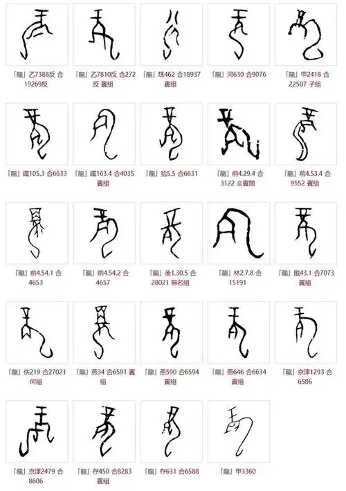 要认识龙字,还是要从甲骨文来看,许慎没有见过甲骨文,他的望文生义