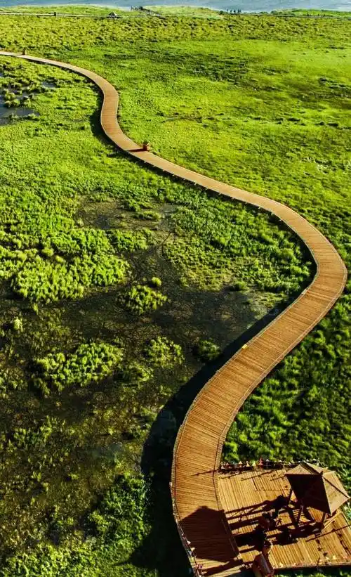 在川西北高原美丽的若尔盖大草原让人感觉格外惬意绿草如茵青草,绿地