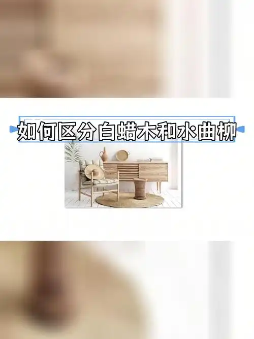 白蜡木与水曲柳的区别解析