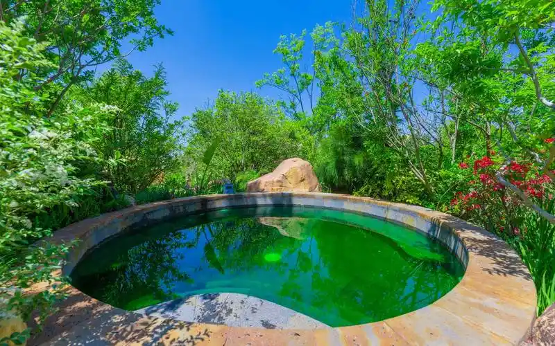 禄丰栖龙湾温泉套票含世界恐龙谷4星住宿东南亚森林温泉推出温泉随便