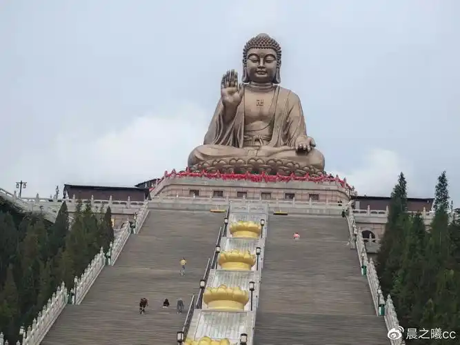 龙口旅游攻略:拜南山大佛,看千年古藤