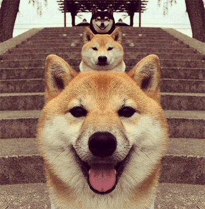 你能盯着看多久