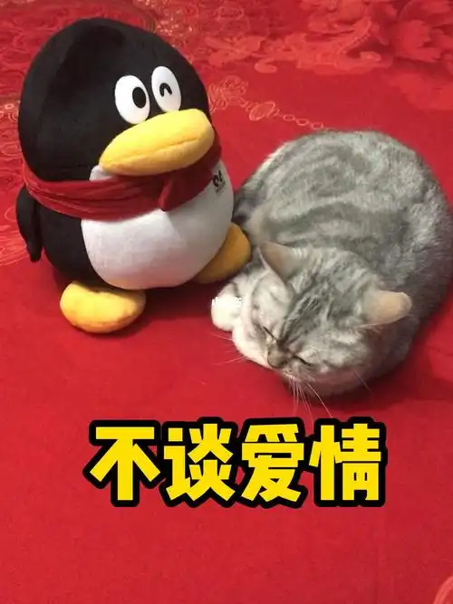 有点尬可怜的q仔好同情你啊