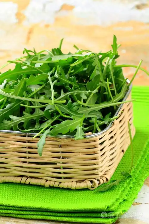 在柳条篮子里的新鲜有机绿色芝麻菜