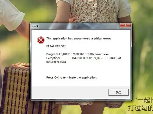 魔兽争霸3 1.24e错误弹窗这个要怎么搞 每次玩一下就这样 11对战平台