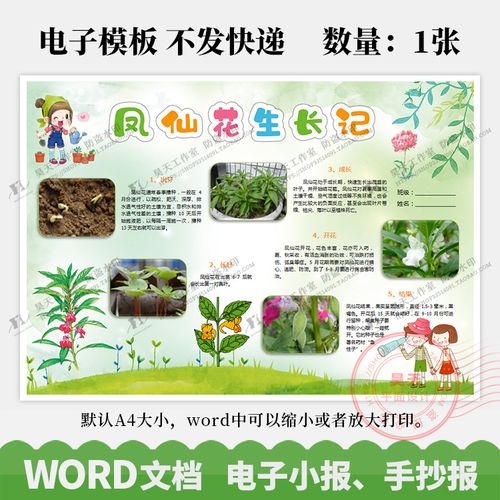 凤仙花生长记观察日记植物成长记录手抄报电子小报word模板wk080