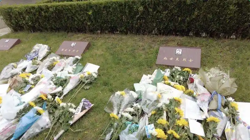 上海龙华陈延年陈乔年墓前摆满鲜花90后致信先烈你们是最明媚的少年