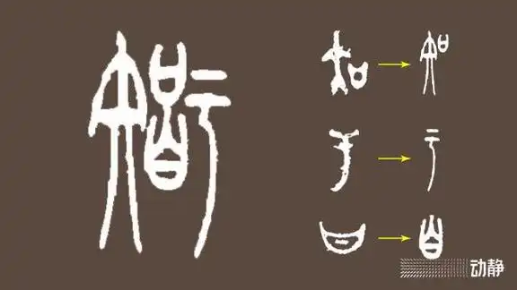 什么是"慧"?|隶书|小篆|写法|金文|甲骨文_网易订阅