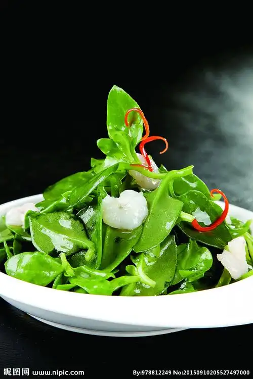 海味田七苗图片