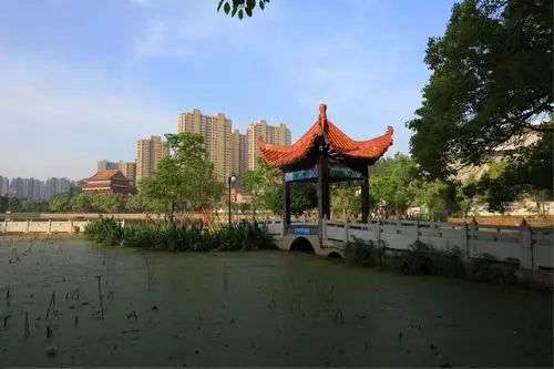 入夏后的流潭公园(原创)