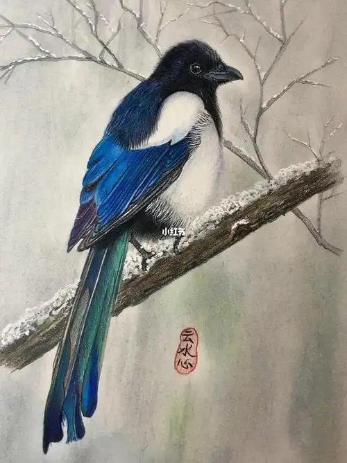 彩铅原创冬天里的喜鹊色粉背景