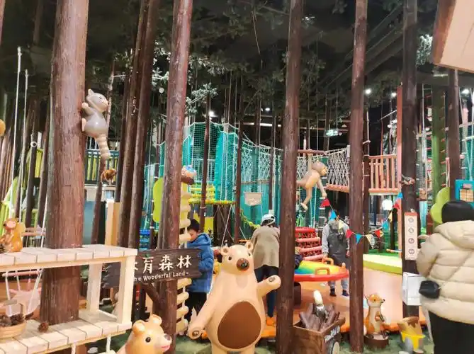 打卡新开的木育森林