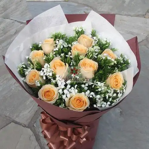 11朵香槟玫瑰,白色相思梅(或满天星)丰满