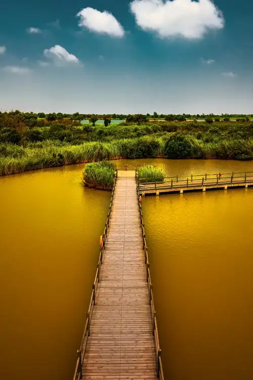 黄河故道山东东营黄河口生态旅游区