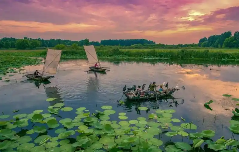 首届" 5a"杯魅力微山湖全国摄影大展征稿启事