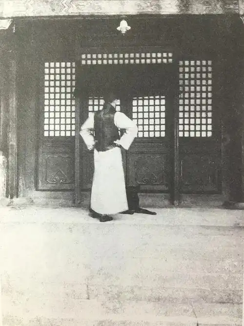 溥仪珍贵老照片,他"飞檐走壁",站在紫禁城房顶看外面的世界