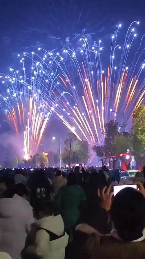 浏阳河烟花2024年卖了多少