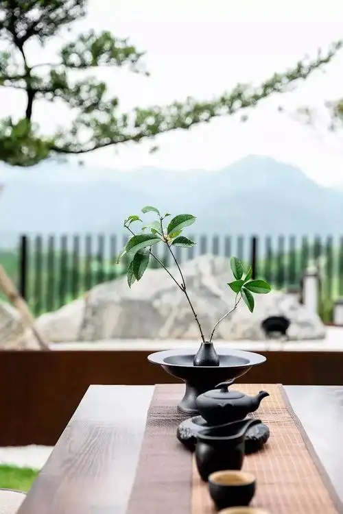 三种意境诠释浪漫,阳光,闲适的美好生活