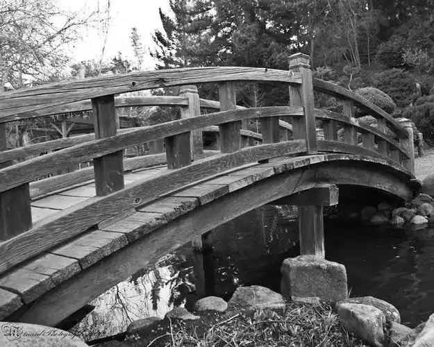 中国木拱桥传统营造技艺是指在中国古代木构建筑中,将木材作为主要