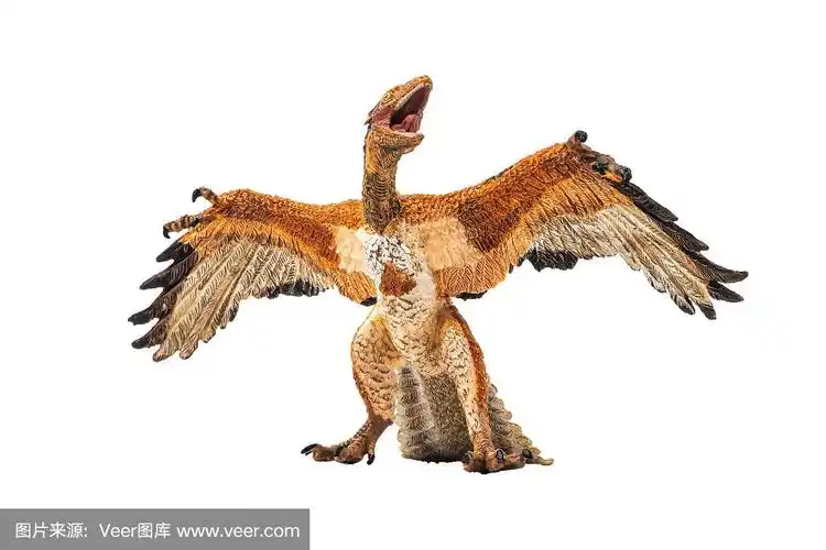 始祖鸟,恐龙在白色的背景.