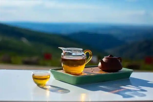 习惯了每天喝茶的人,户外旅游或是出差的时候怎么泡茶?