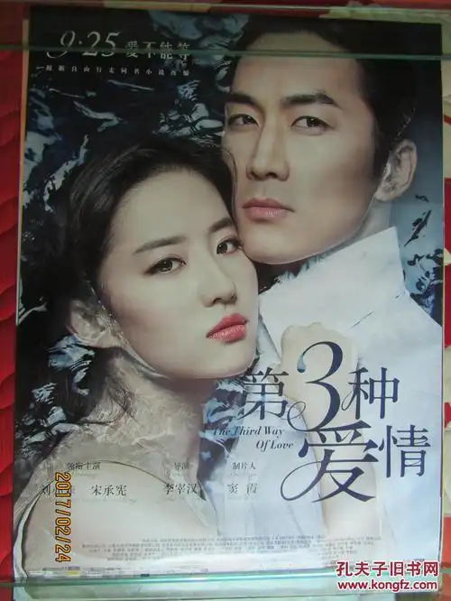 电影海报:第三种爱情[全开]