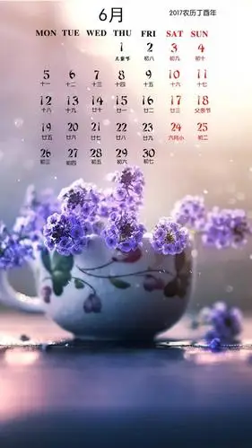 植物花卉6月日历