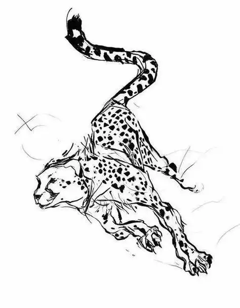 豹子怎么画霸气又简单,豹子怎么画简笔画_竞价网