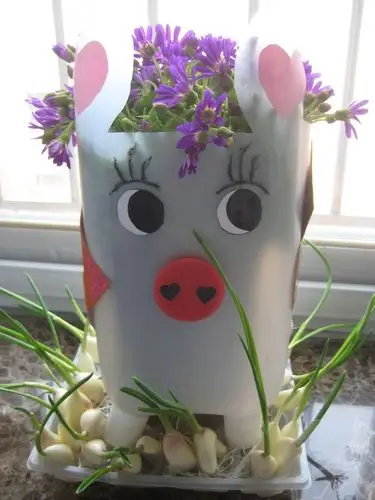 自己设计的小猪矿泉水瓶花盆