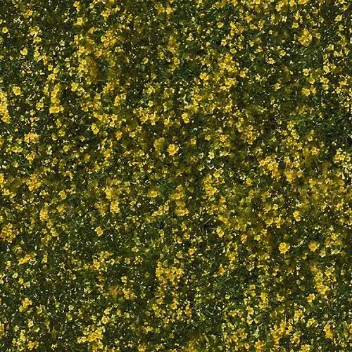 无缝贴图植物篇