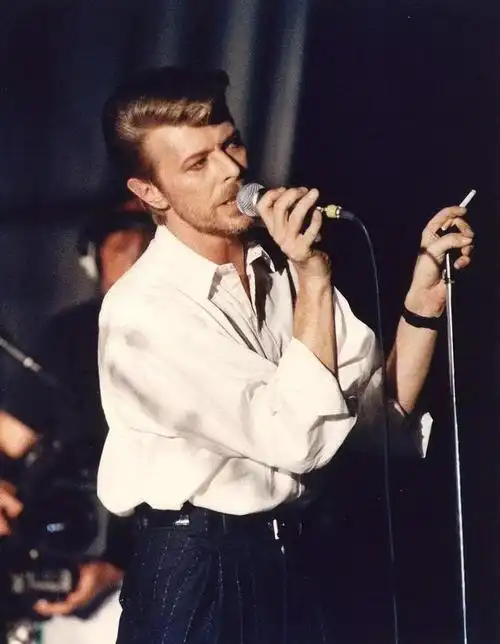 检验一个男人是否真的魅力十足,杰瑞米·艾恩斯 jeremy irons布拉德