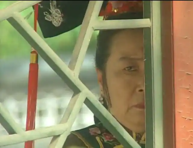 容嬷嬷国产剧洗白第一人