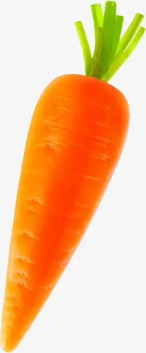高清胡萝卜图片png