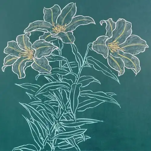 黑板报粉笔画百合花