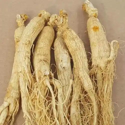 产自东北吉林长白山人参自然凉晒白干参真空包装250g食用泡酒