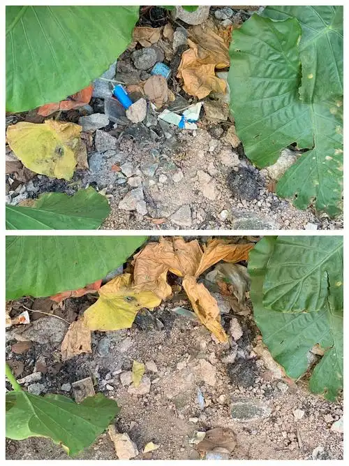 清理路面果皮纸屑