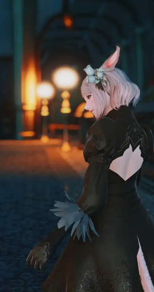 [提问]长发穿2b套头部幻化有推荐的么