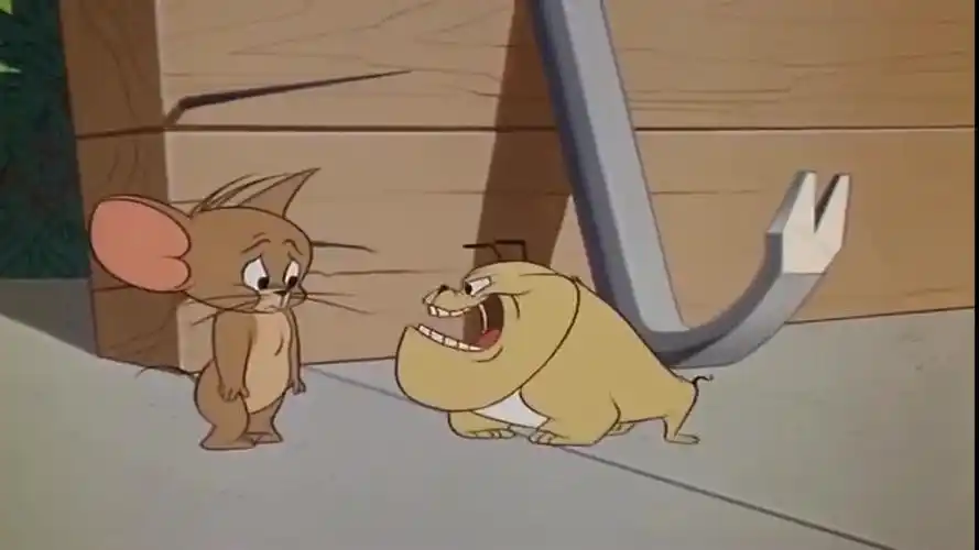 猫和老鼠杰瑞买的小狗,比它自己都矮!汤姆瞬间不怂了