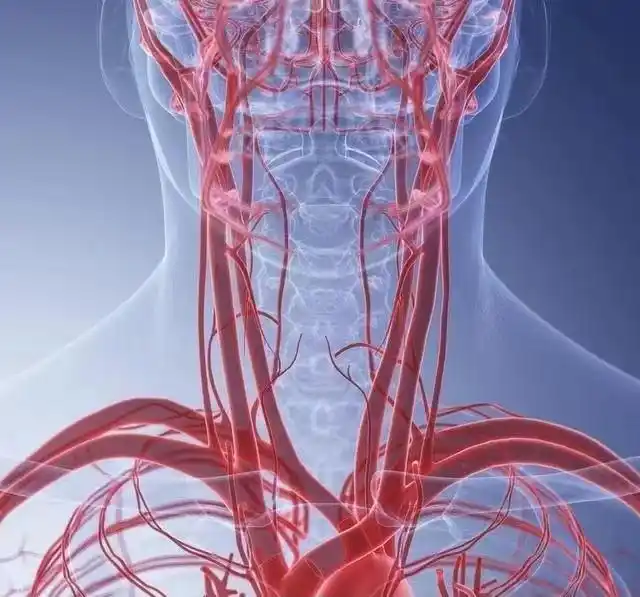 颈部上血管较多,不建议使用筋膜枪