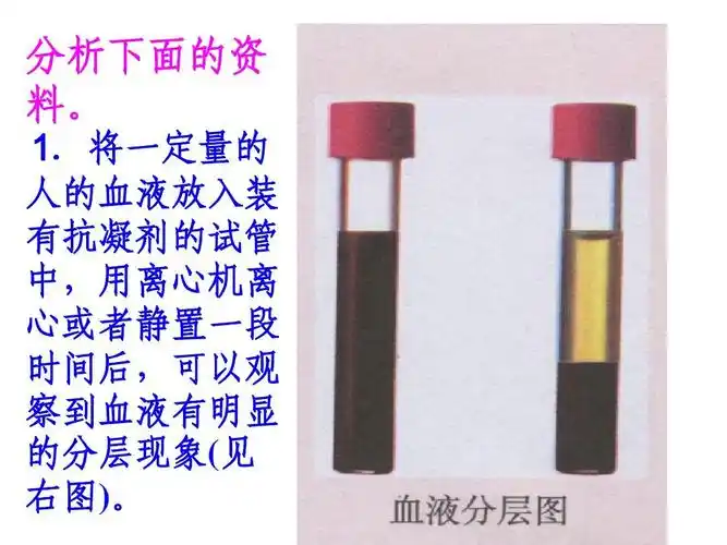 七年级生物第一节_流动的组织—血液课件人教版ppt