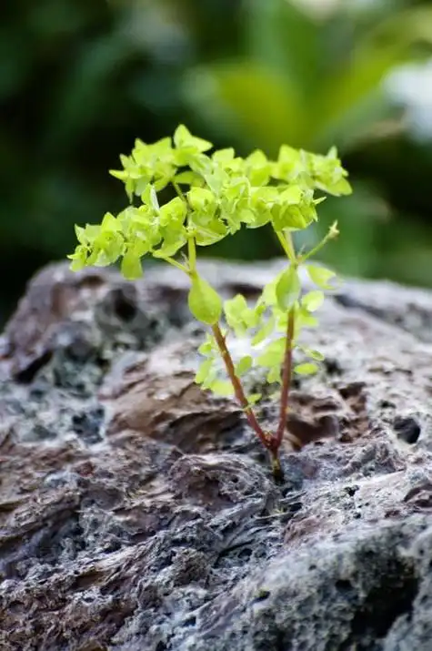 就算一人能抗下所有风浪,我还是想有你陪伴.#情感