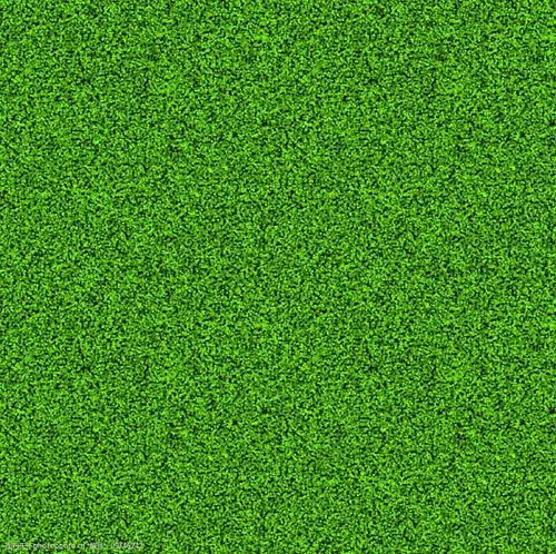 高清草地贴图图片