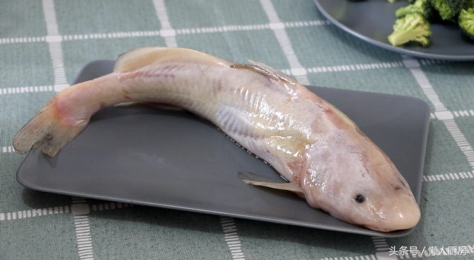 第一次见长江白鮰鱼,买回家做了白汁鮰鱼,因长相吓人,没人敢吃