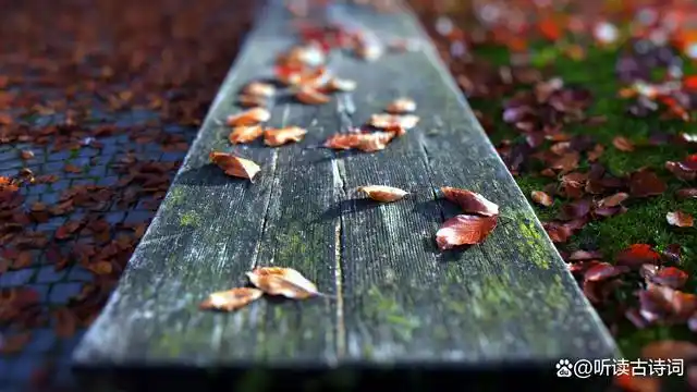 所以,初秋的诗篇,先从落叶写起,初秋的思绪,也因落叶而生.