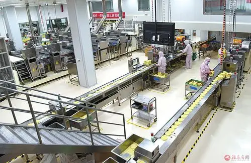 突出产业强县 推动经济高质量发展