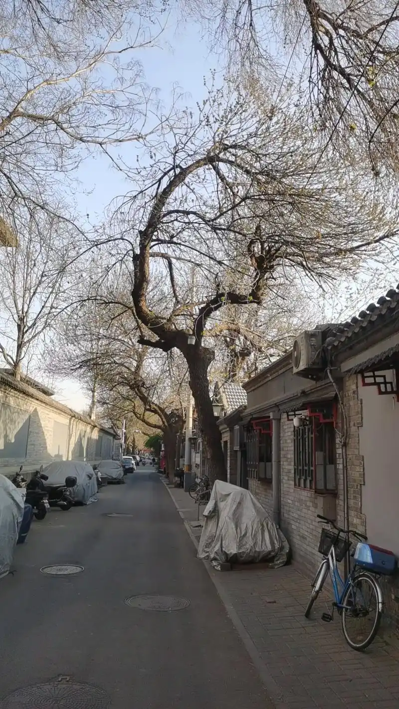 北京印象(二)行走在老北京的胡同里,仿佛在与古老的北京城对话.