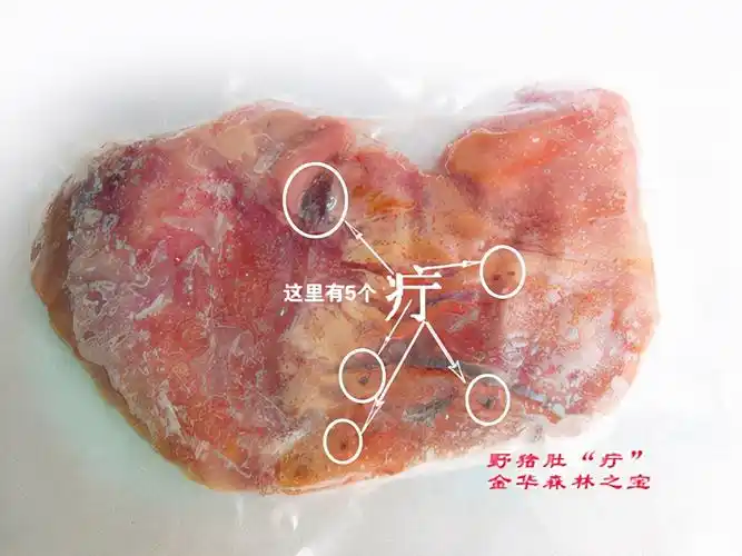 野猪|蛇毒|野猪肚_新浪新闻