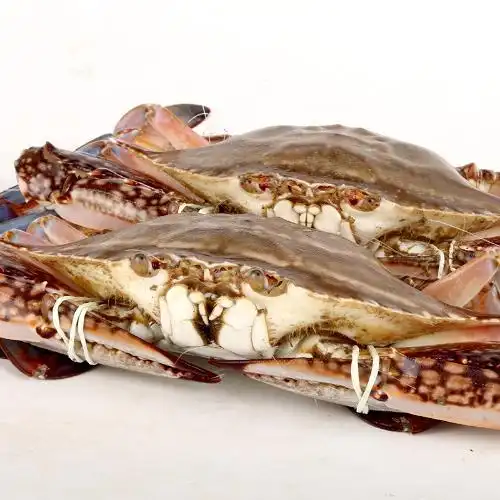 【包邮】舟鲜生 舟山冰鲜野生梭子蟹(公)2.