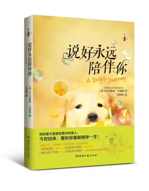 open经典:说好永远陪伴你