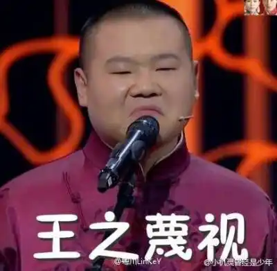 小岳岳表情包 王之蔑视